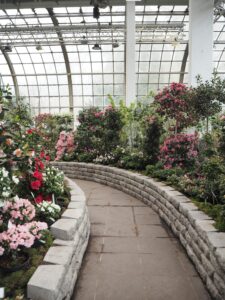 6 Spring Flower Garden Wallpaper Inspiration Idea