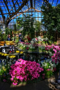 8 Spring Flower Garden Wallpaper Inspiration Idea