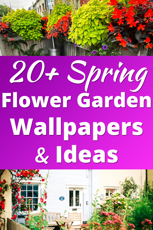 Spring Flower Garden Wallpapers, Ideas, Inspiration