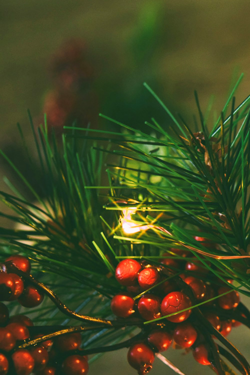 Christmas Pine Tree Aesthetic 1