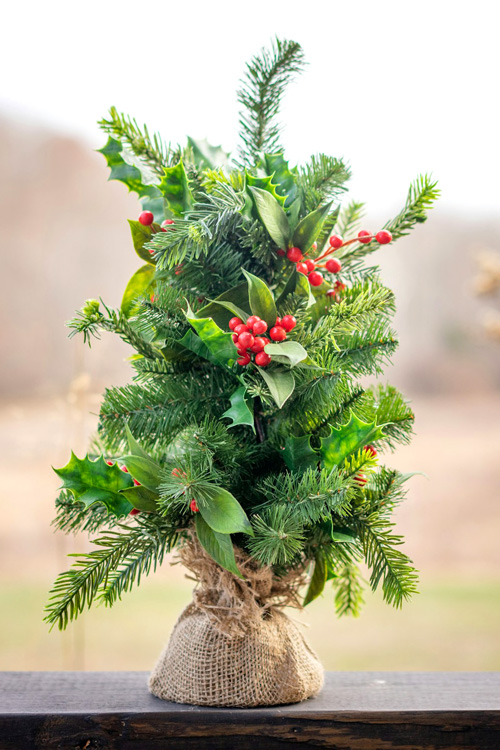 Christmas Pine Tree Aesthetic 2
