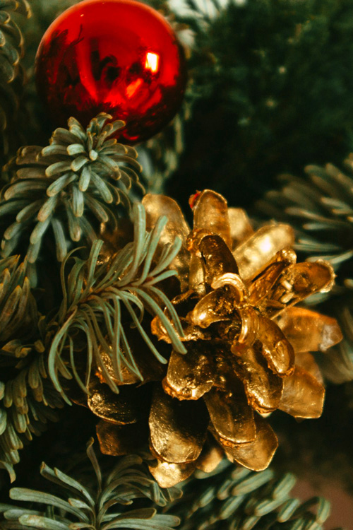 Christmas Pine Tree Aesthetic 3