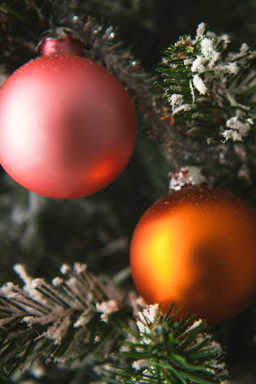 Christmas Pine Tree Aesthetic 4