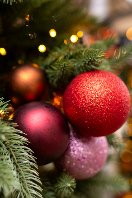 Christmas Pine Tree Aesthetic 5