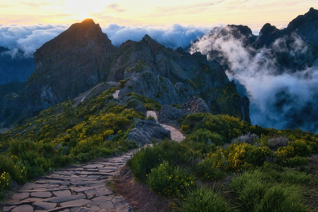 mountains, nature