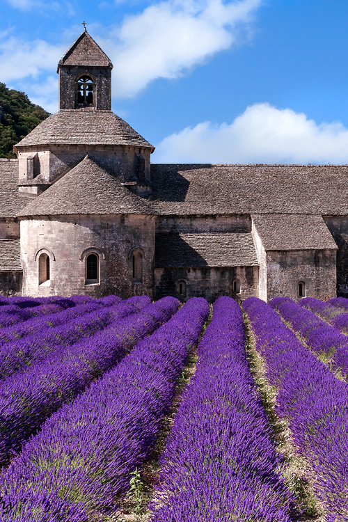 Senanque Abbey, Provence, France