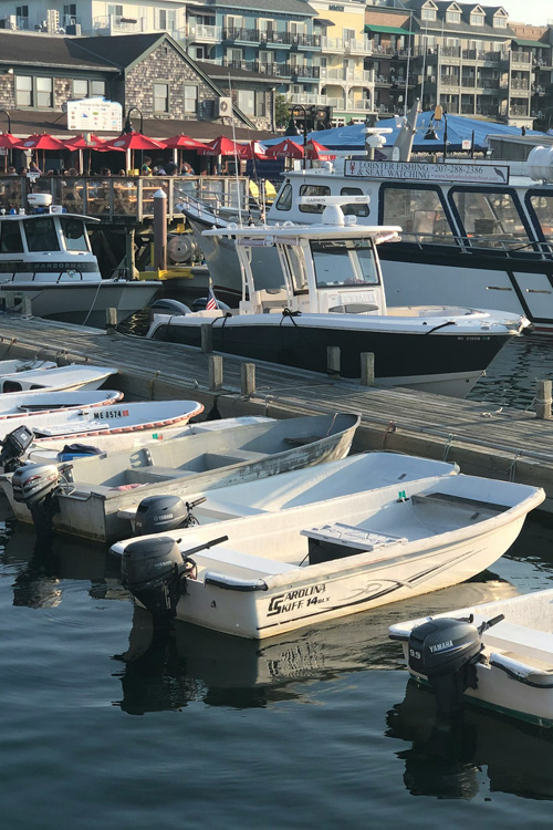 Bar Harbor, Maine, USA