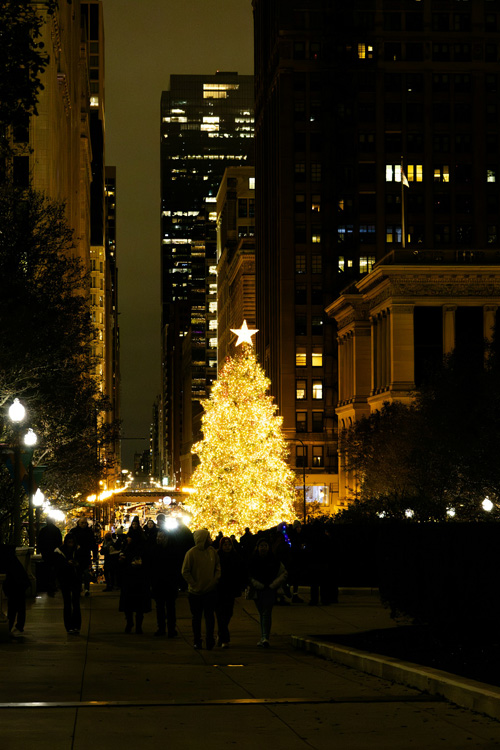 Christmas Tree, Millennium Park, Chicago, Illinois, USA