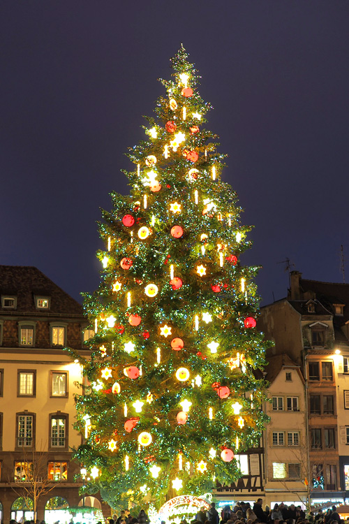 Christmas Tree in Strasbourg, France