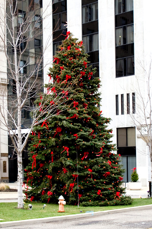 Christmas in Youngstown, Ohio, USA