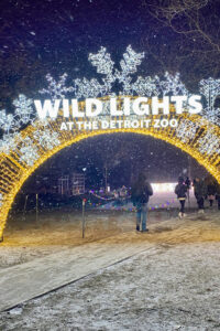 15 Magical Christmas Things to Do in Michigan (Festive Lights, Winter ...
