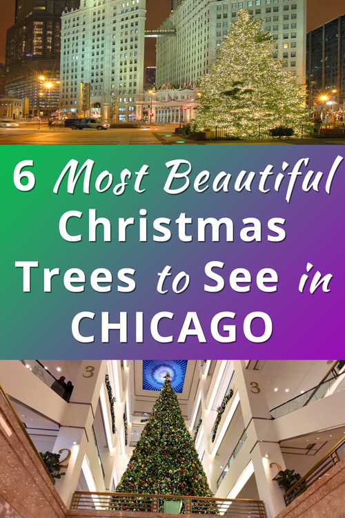 Most Beautiful Christmas Trees to See in Chicago USA