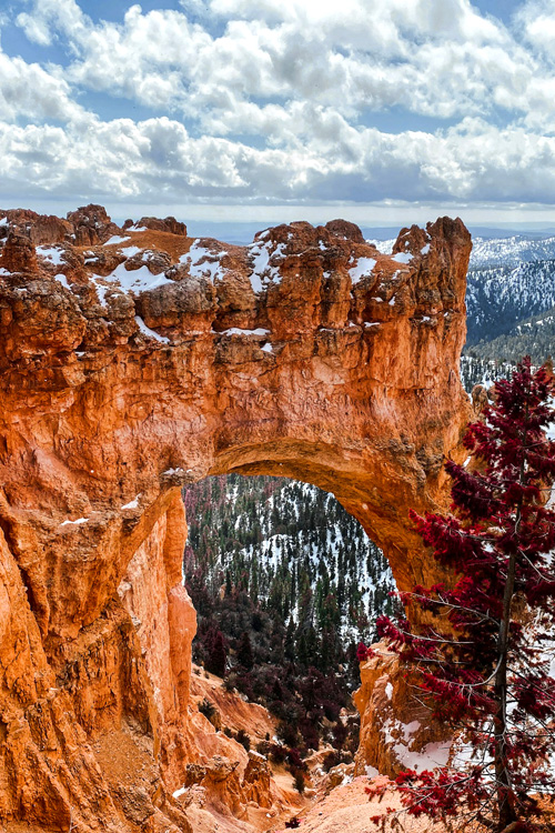 Natural Bridge, Bryce Canyon National Park, Utah, USA