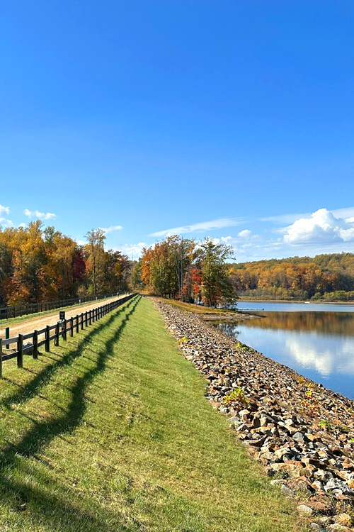 Ragged Mountain Nature Area, Reservoir Road, Charlottesville, Virginia, USA
