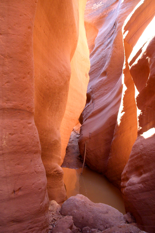 Wire Pass Trail, Utah, USA