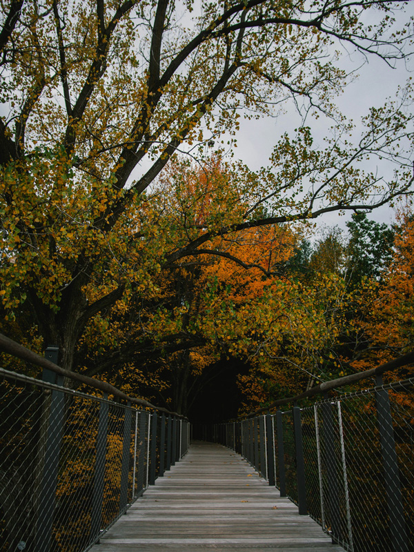 Canopy walk, Whiting Forest of Dow Gardens, Eastman Avenue, Midland, MI, USA