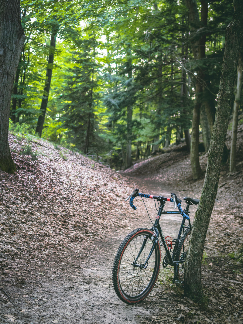 Ludington, MI, USA bike forest