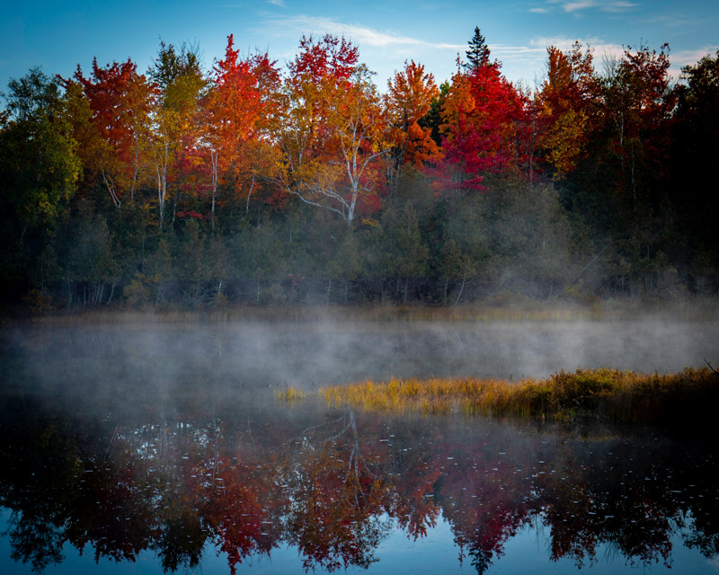 Fall in Maine