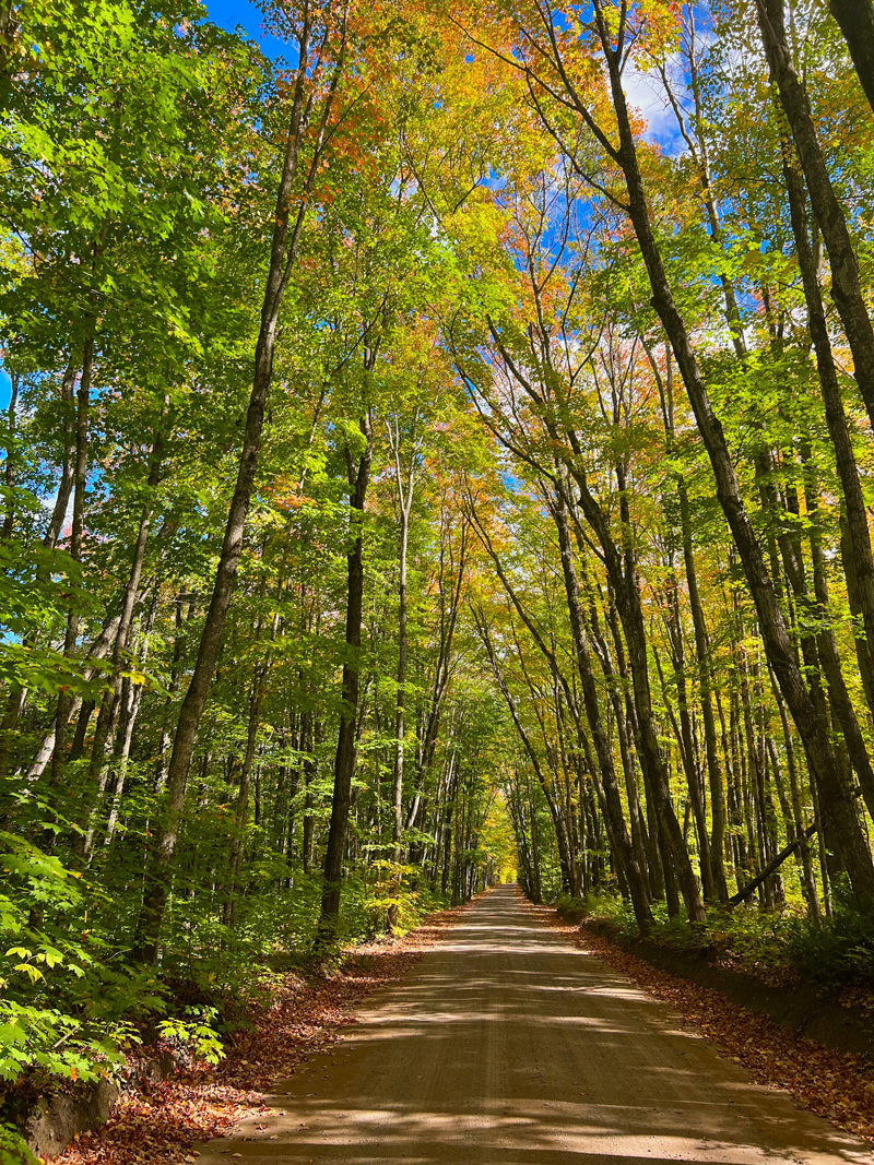 Redridge, Michigan, USA